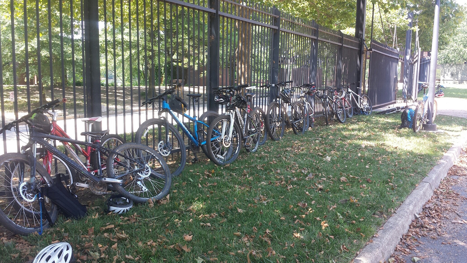 bikes-in-a-row.jpg