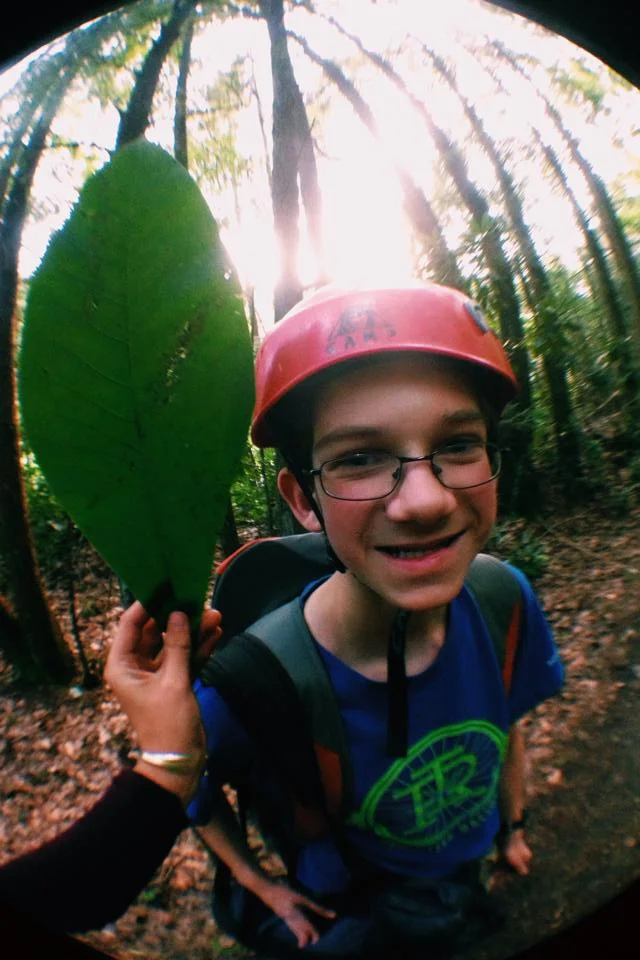 nicholas-leaf-rock-week.jpg