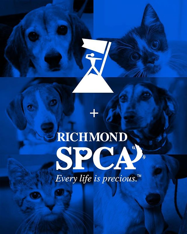 peak-spca.jpeg