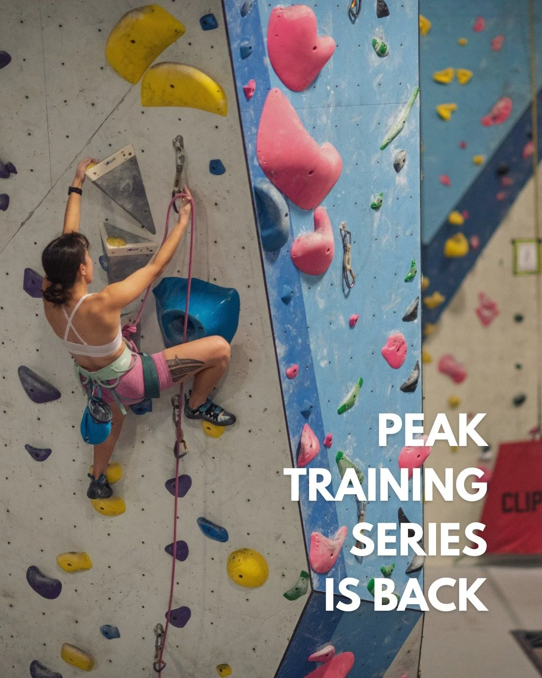 THE PEAK TRAINING SERIES IS BACK!

The second round of the Peak Training Series is here! This 6-week program is designed to help intermediate adult climbers level up their lead climbing skills!

Climbers will participate in weekly practices on Tuesda