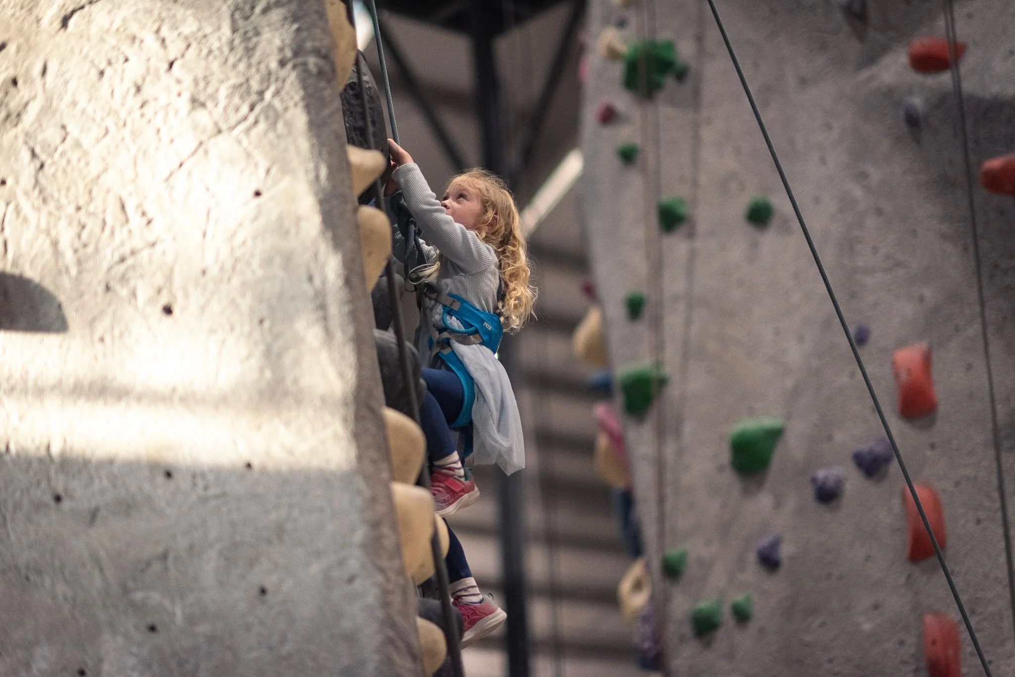 Have you signed up for our Peak Days of Summer mini-camps yet? 🌞These indoor day camps at our RVA location are designed for younger adventurers (ages 3 to 12) who want to climb, move, and play in a supportive and fun environment! Families can regist