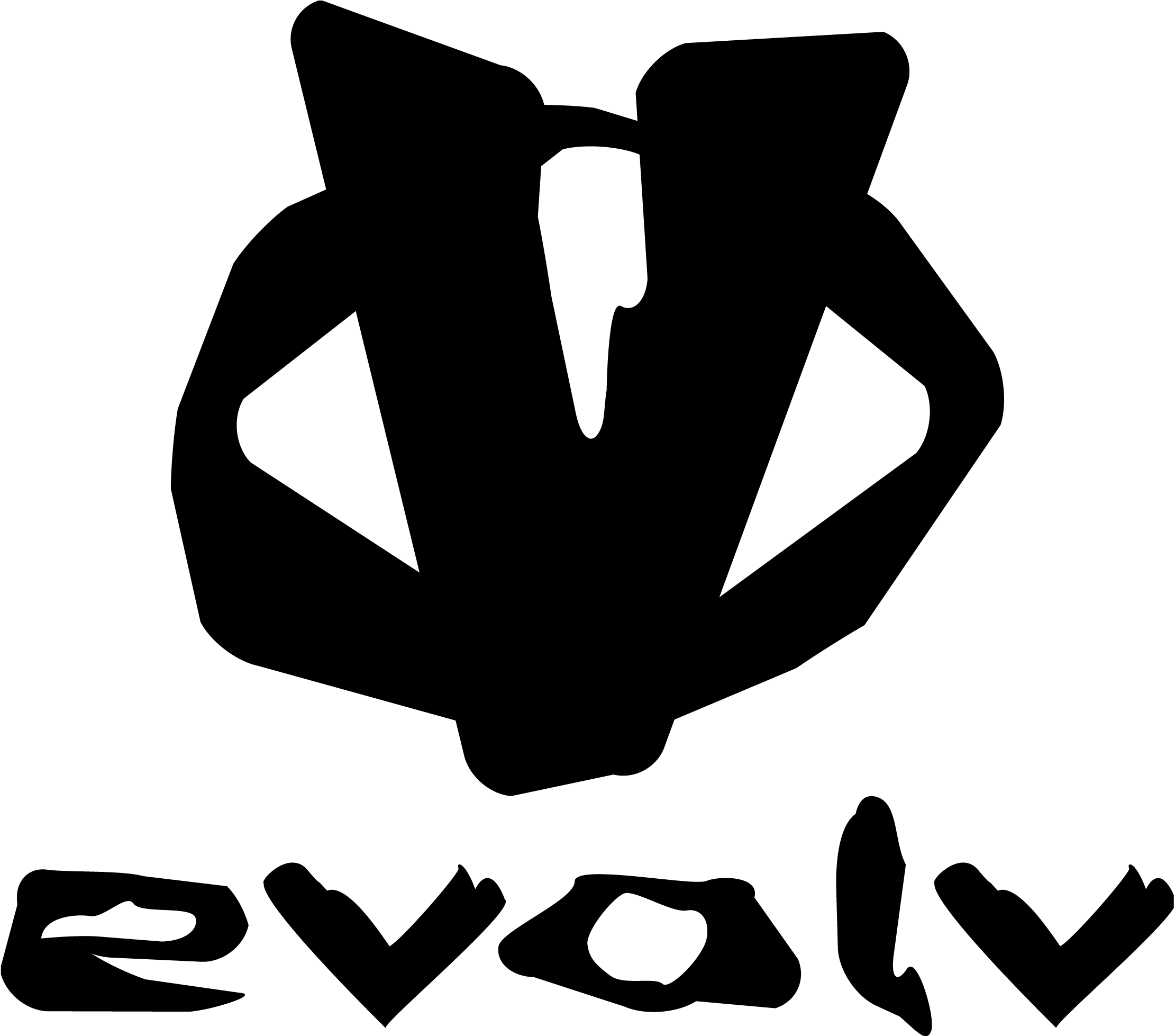 Black logo featuring a stylized owl with the word "evolv" written below.