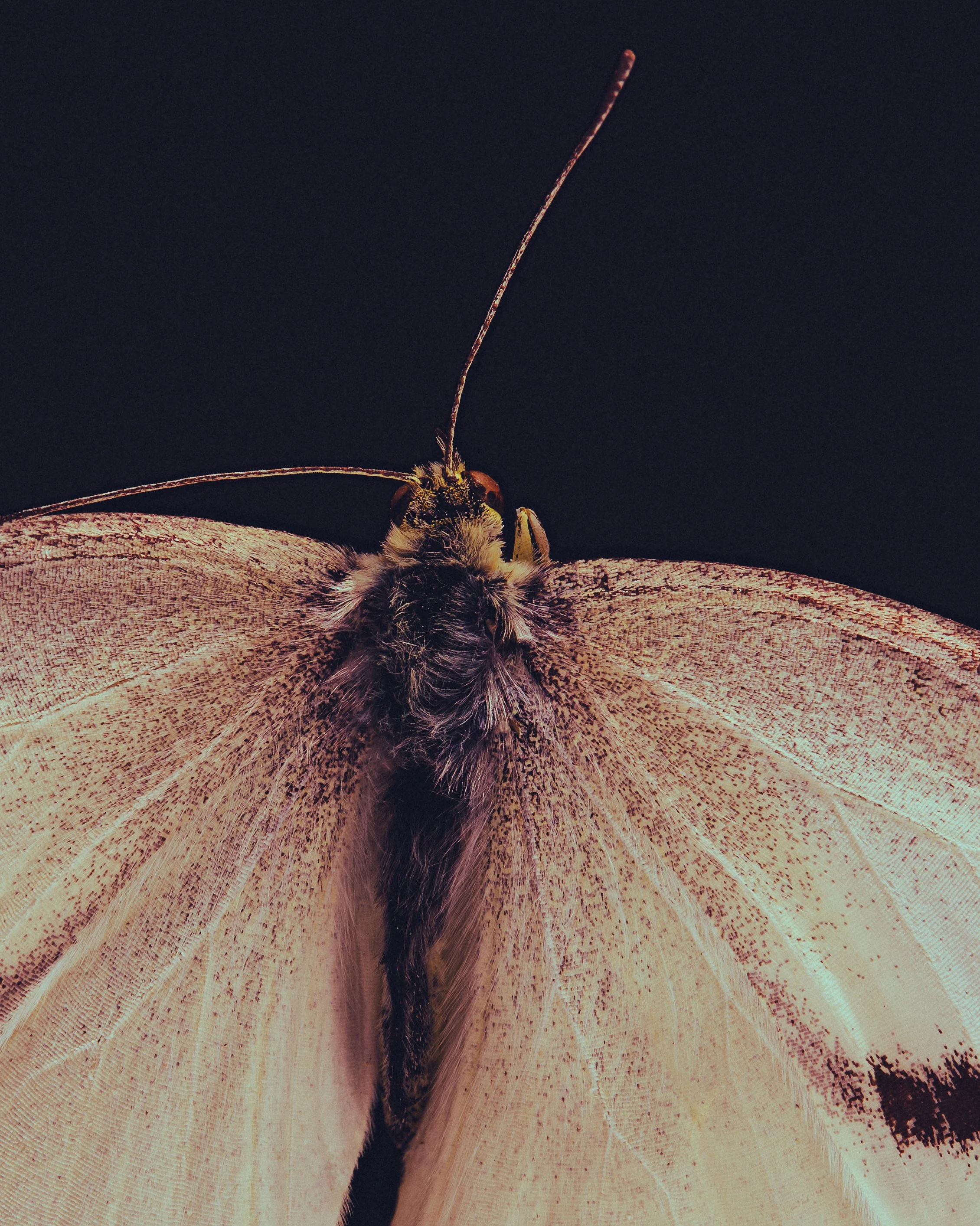 2023-11-22 15-23-22 (B,R2,S1).JPG