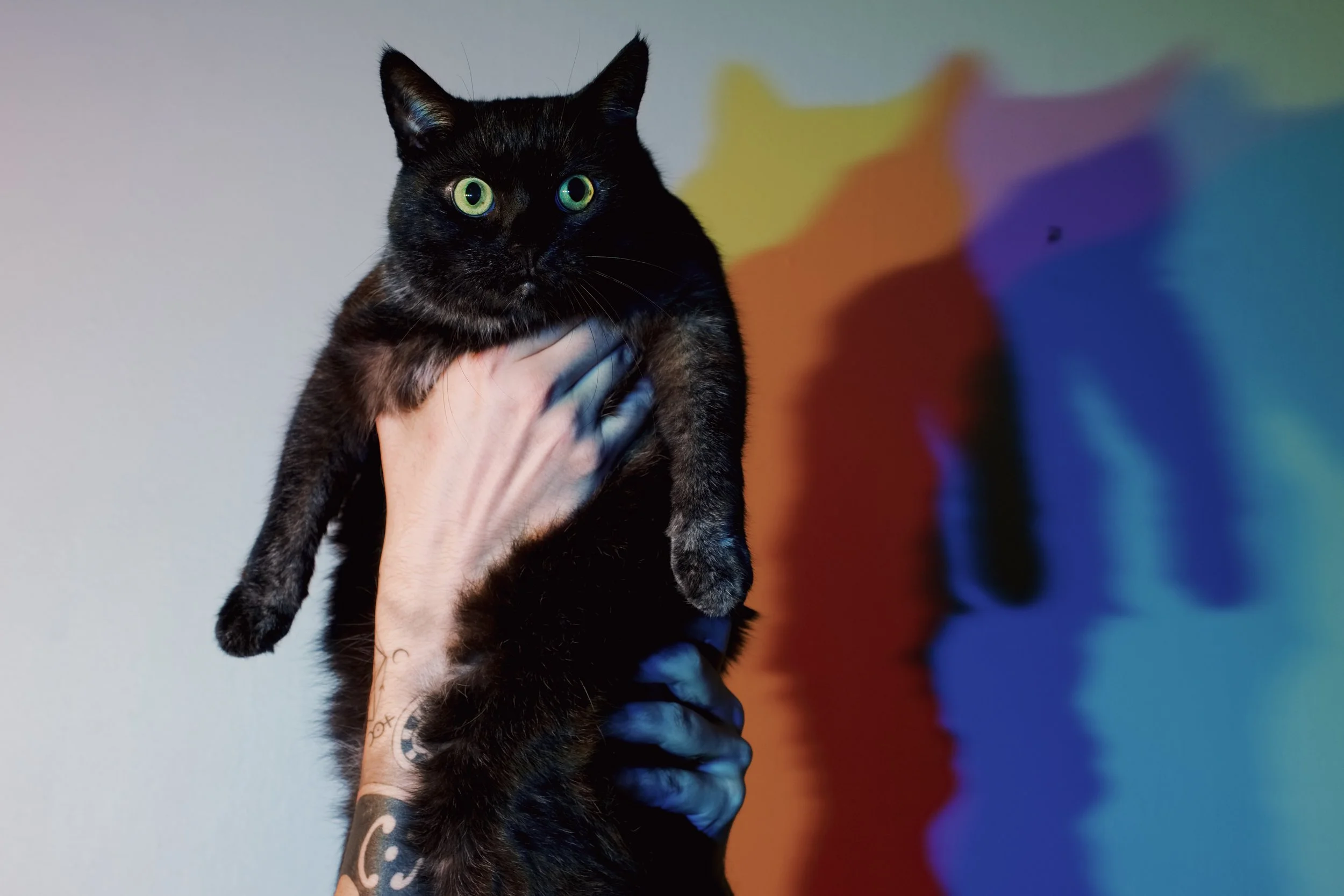 Sweet Severin Shadows