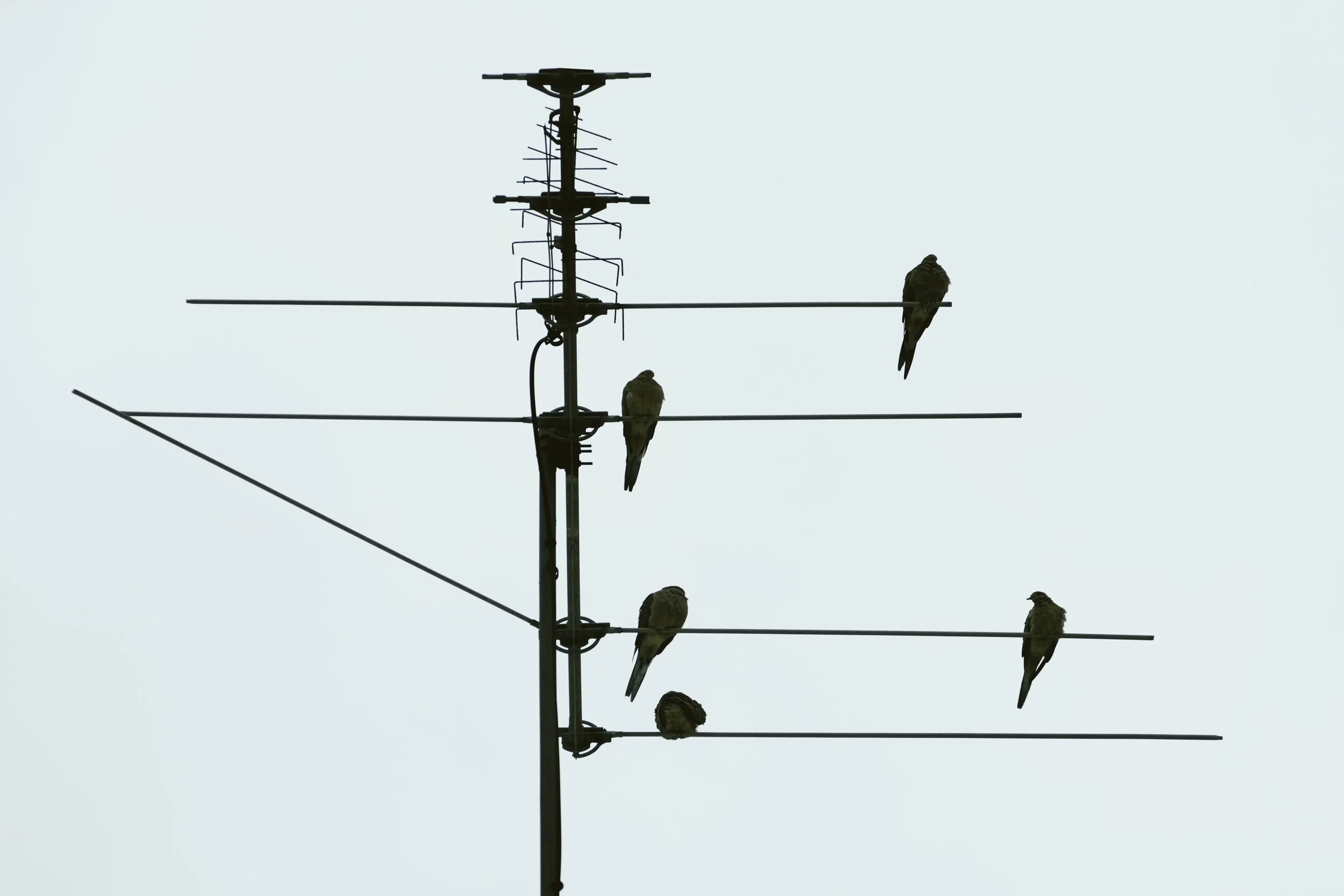  Processed with VSCO with fr4 preset 