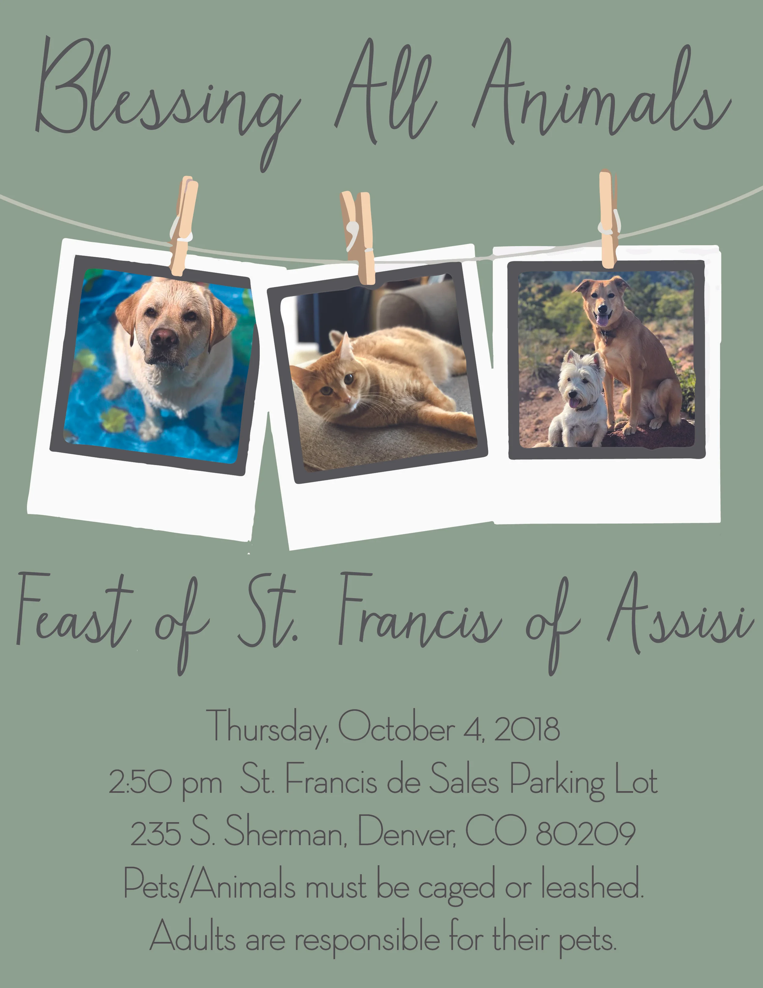 BlessingAnimals-01.jpg