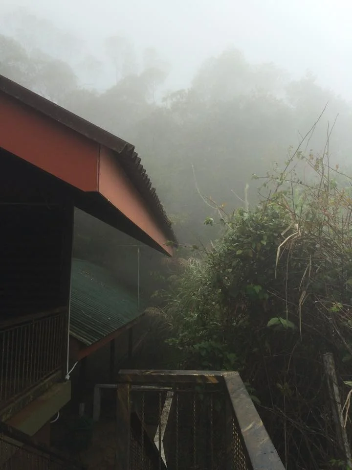 Kinabalu National Park. So misty you cannot see the mountain peaks.