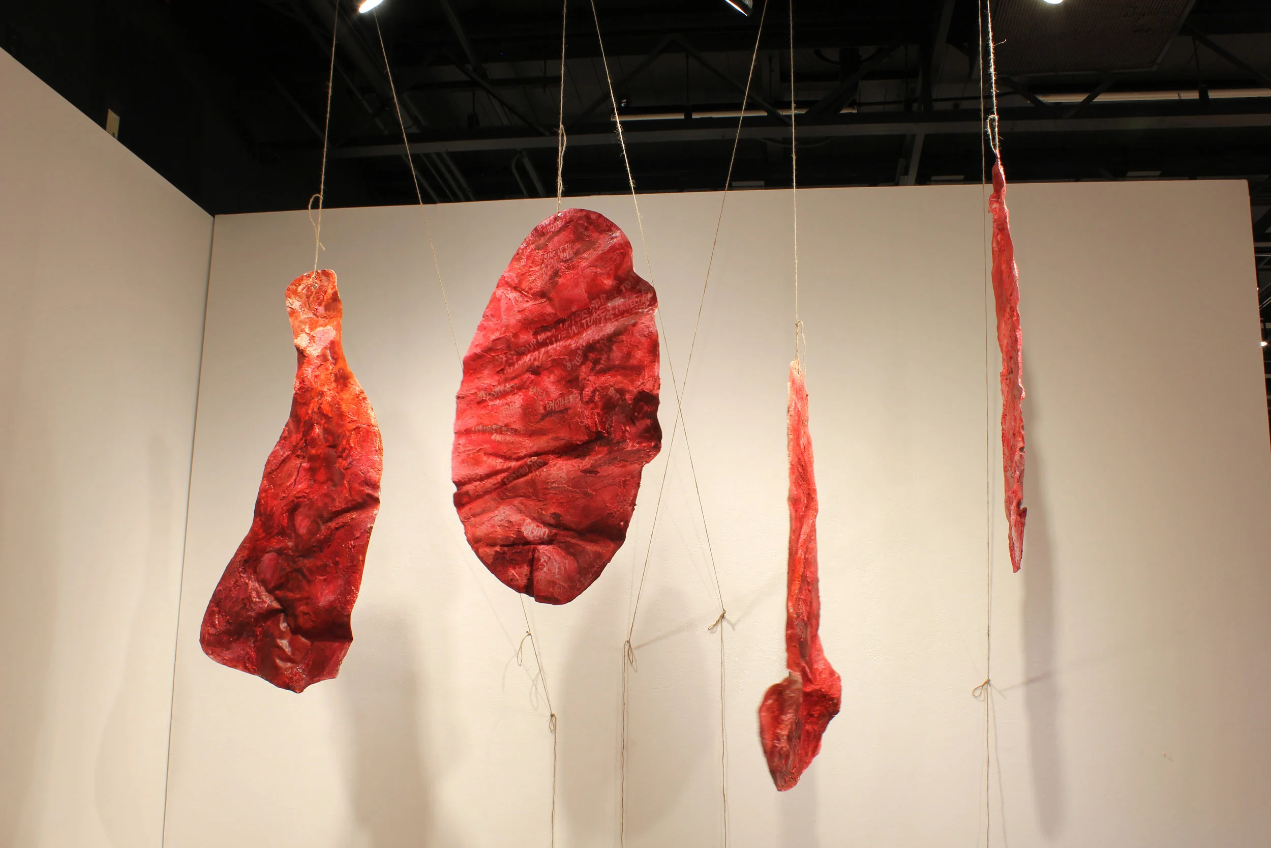 3.Affection, 2014, Plaster, Gauze, Acrylic Paint, Fabric Dye, Pastels and Color Pencil on Paper Installed with Grommets and Rope, 30”x48”each.jpg