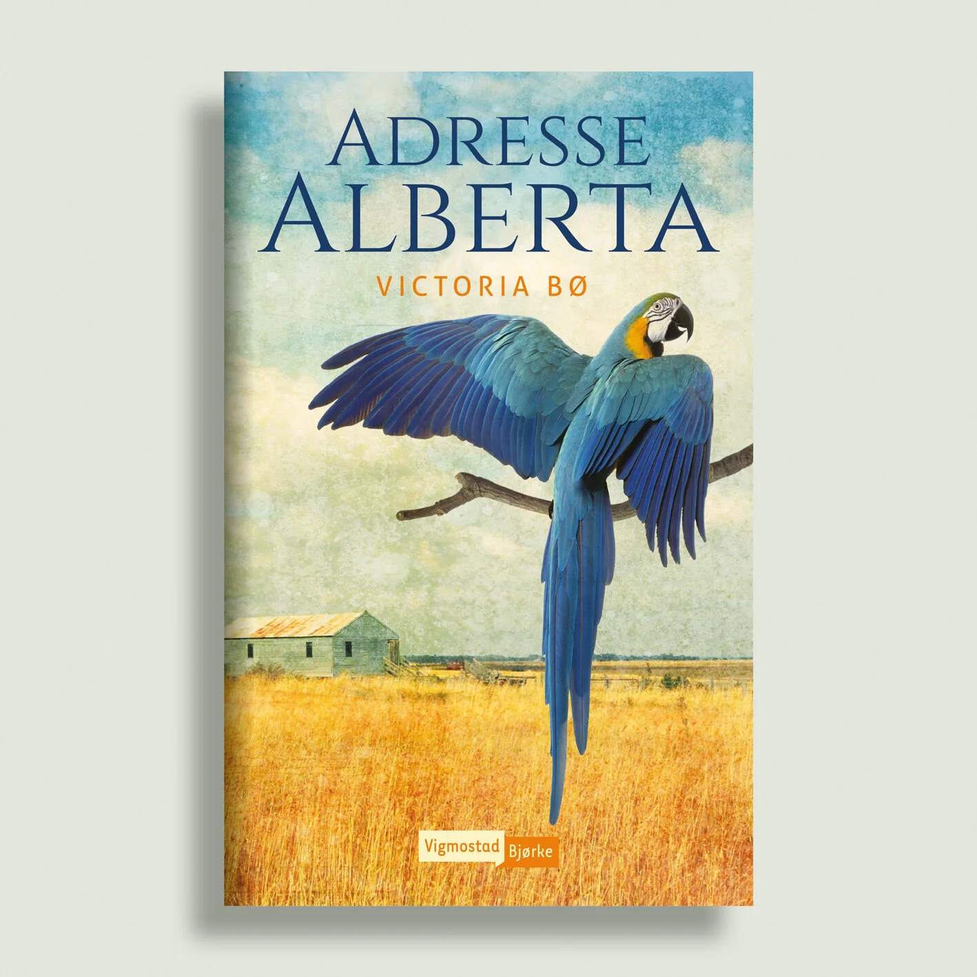 adresse-alberta.jpg
