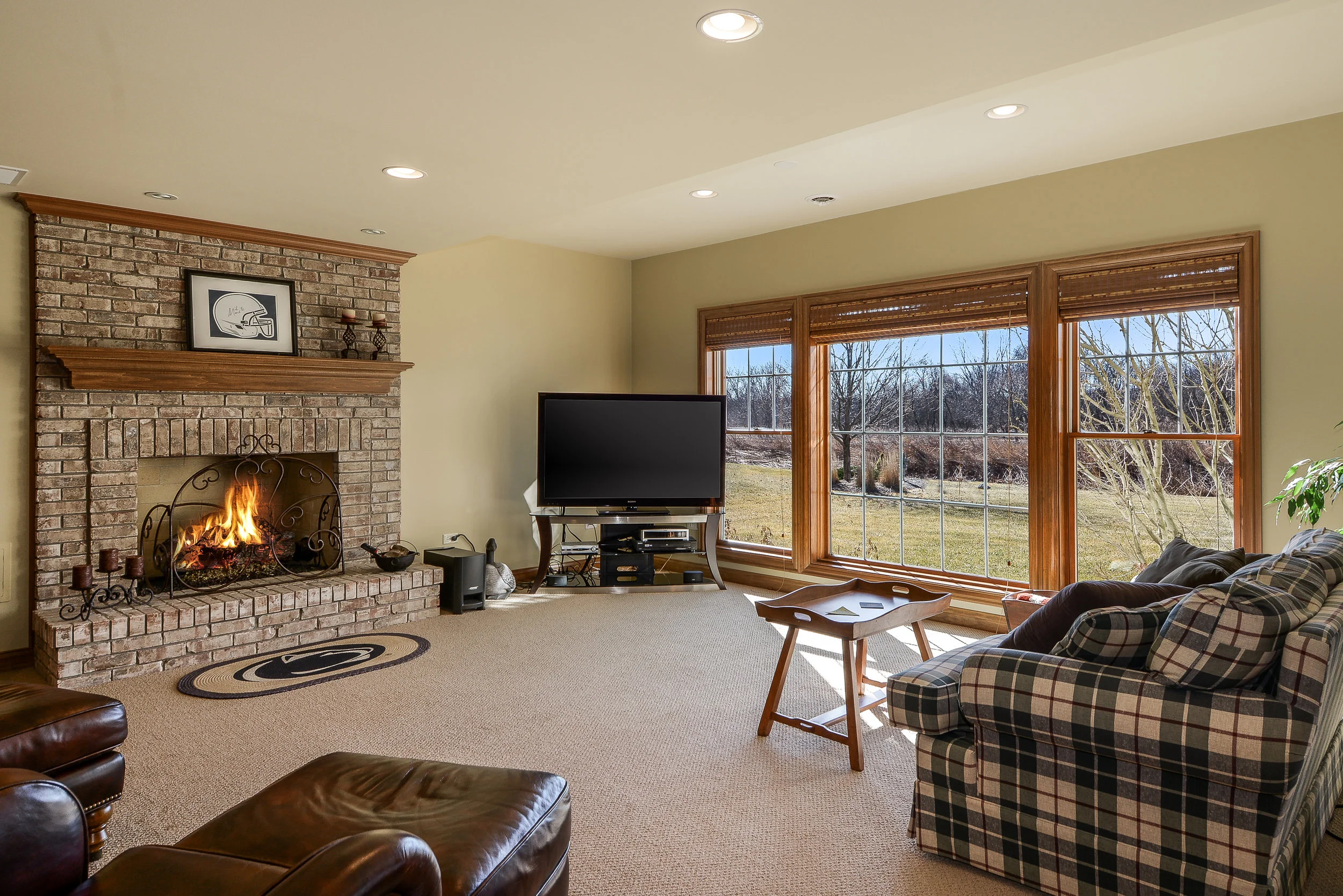 Walkout Basement with Wood Burning Fireplace in Campton Hills IL