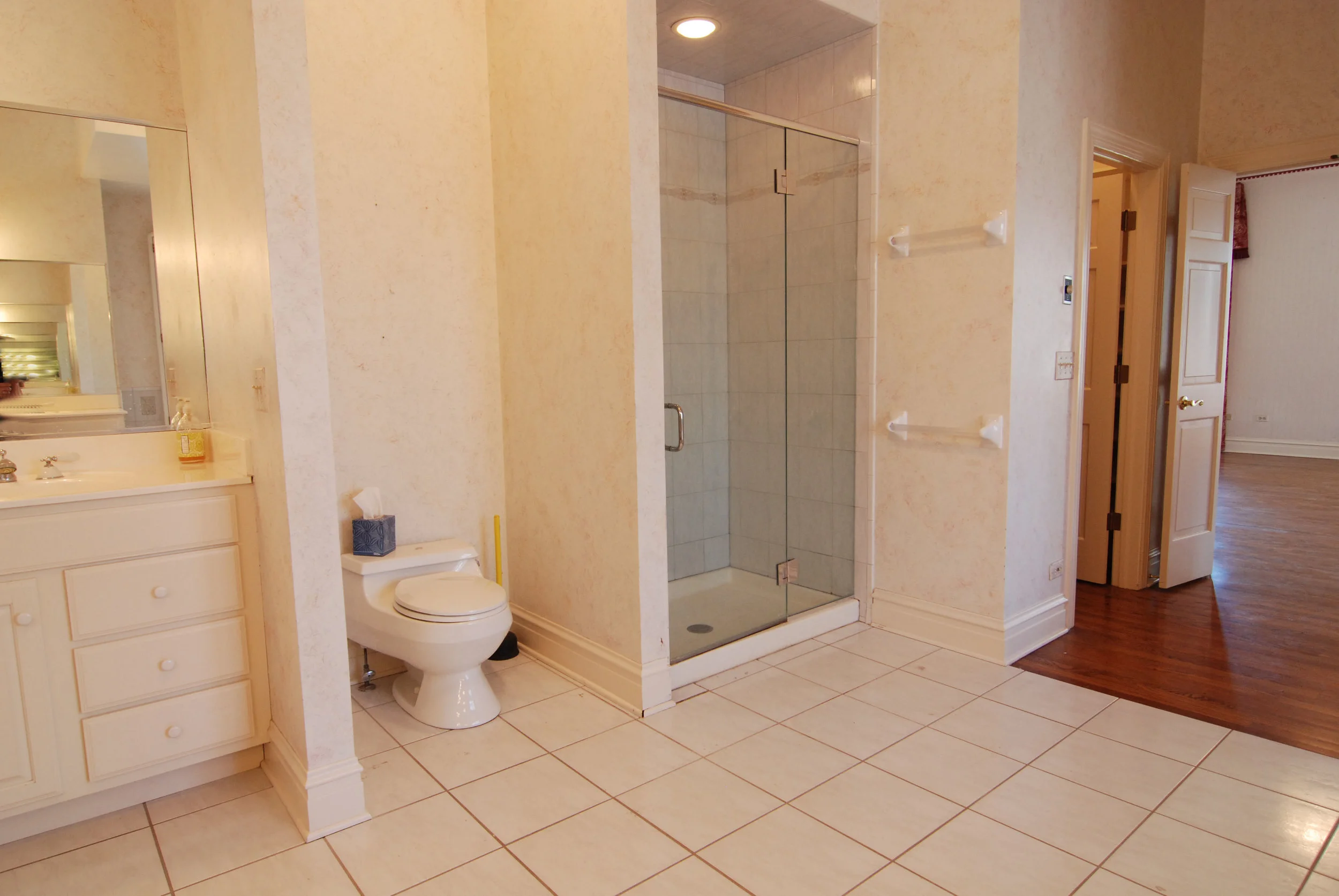 Outdated Naperville Bathroom in Need of Remodeling Before Photo.