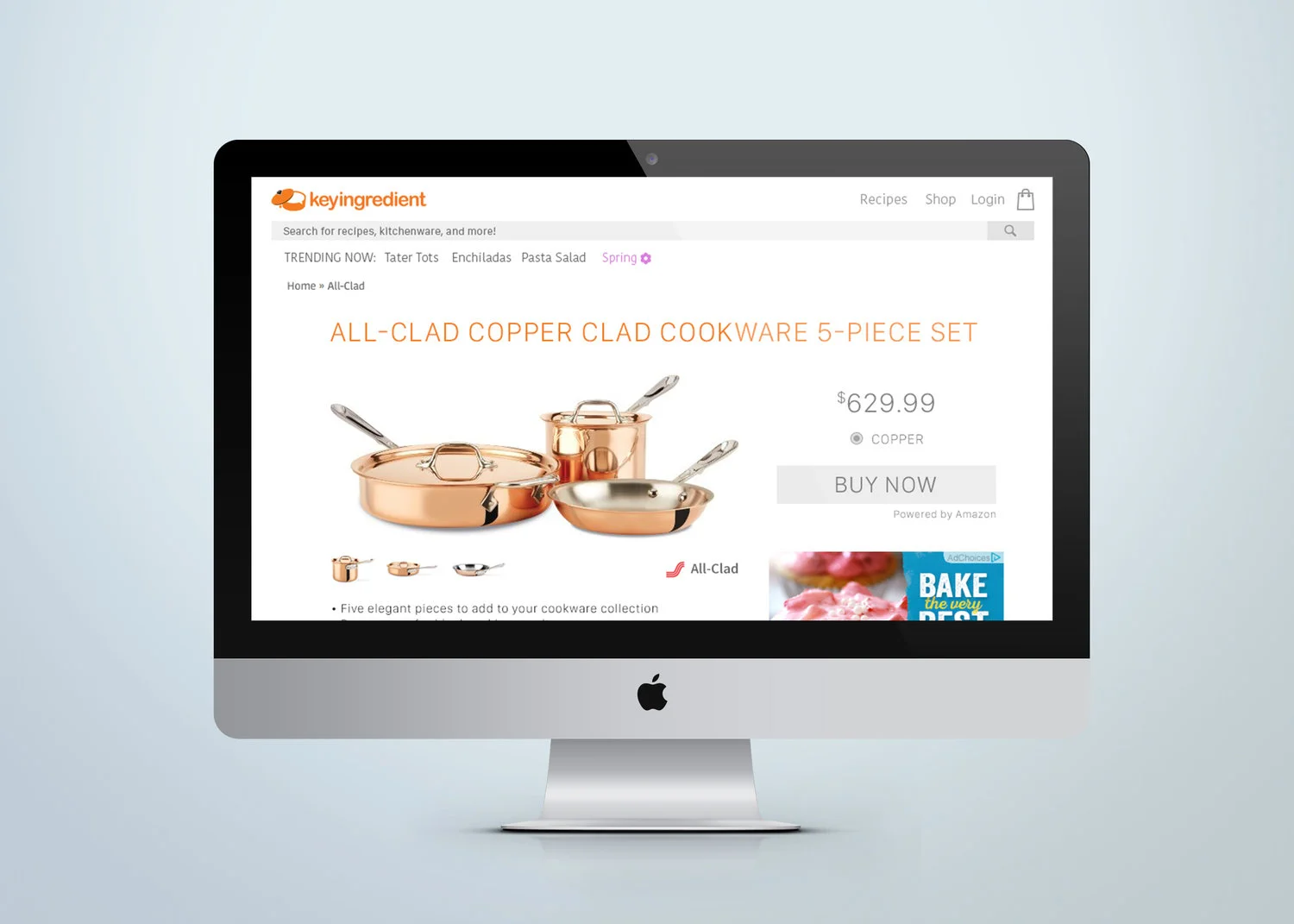 site+redesign+concepts-mac3.jpg