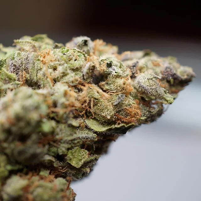 Got some great buds but not a lot of foot-traffic? Leverage your social channels to find customers near your store w/ @dispensarydarling 😎

#dispensarymarketing #cannabiz #denver #cannabiscommunity #smallbusiness