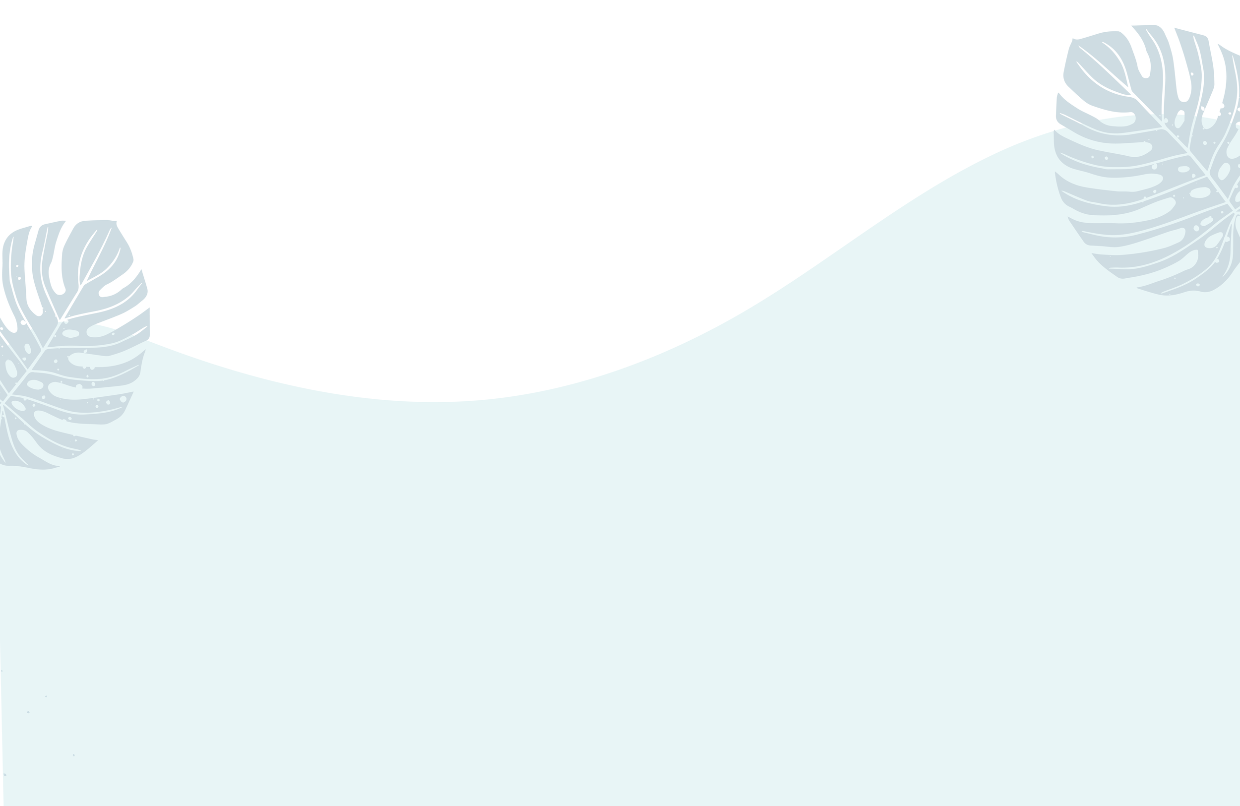 NEWhomebanner-01 copy.png