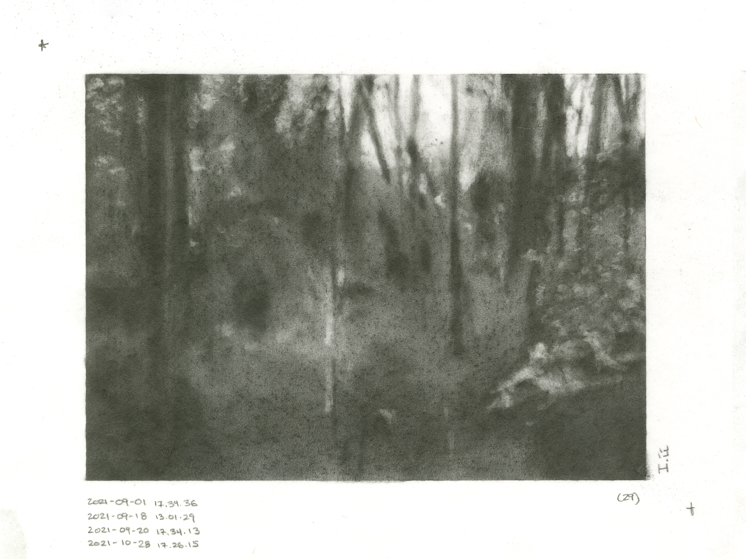 I.ii (WP029)