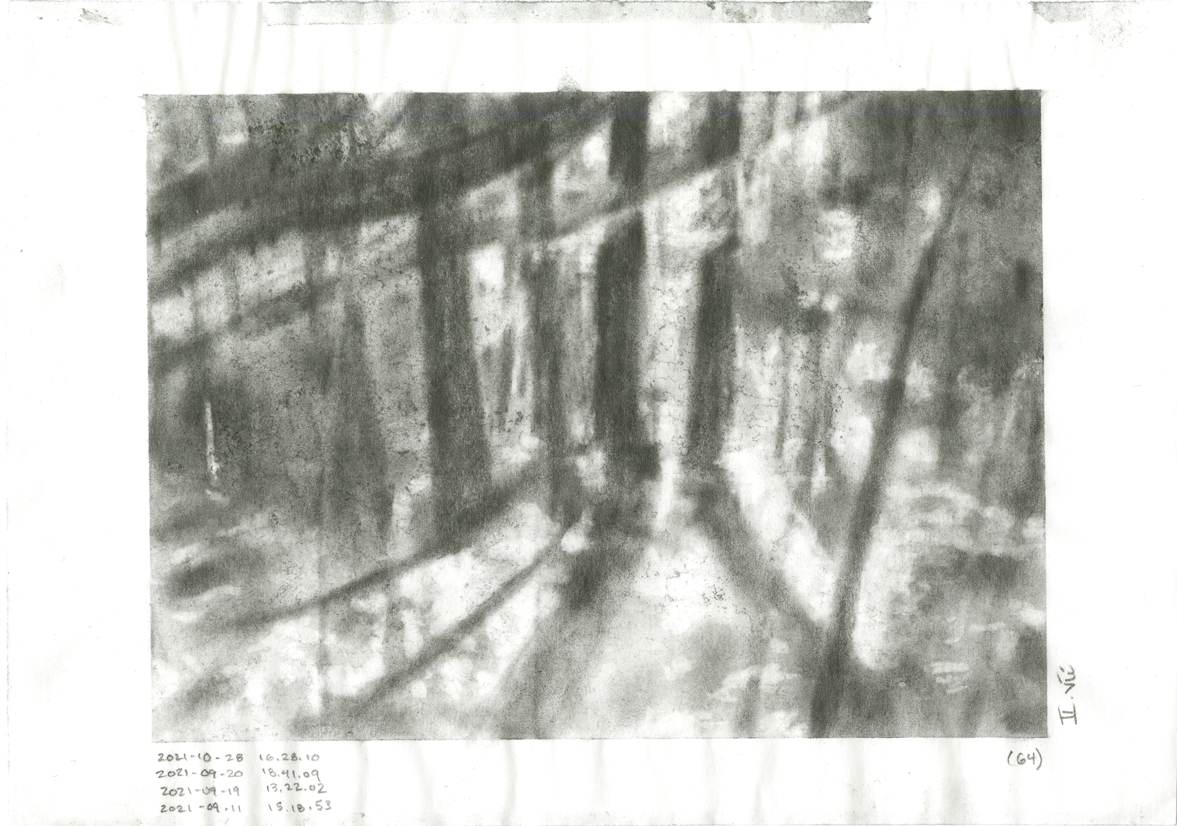 II.vii (WP064)