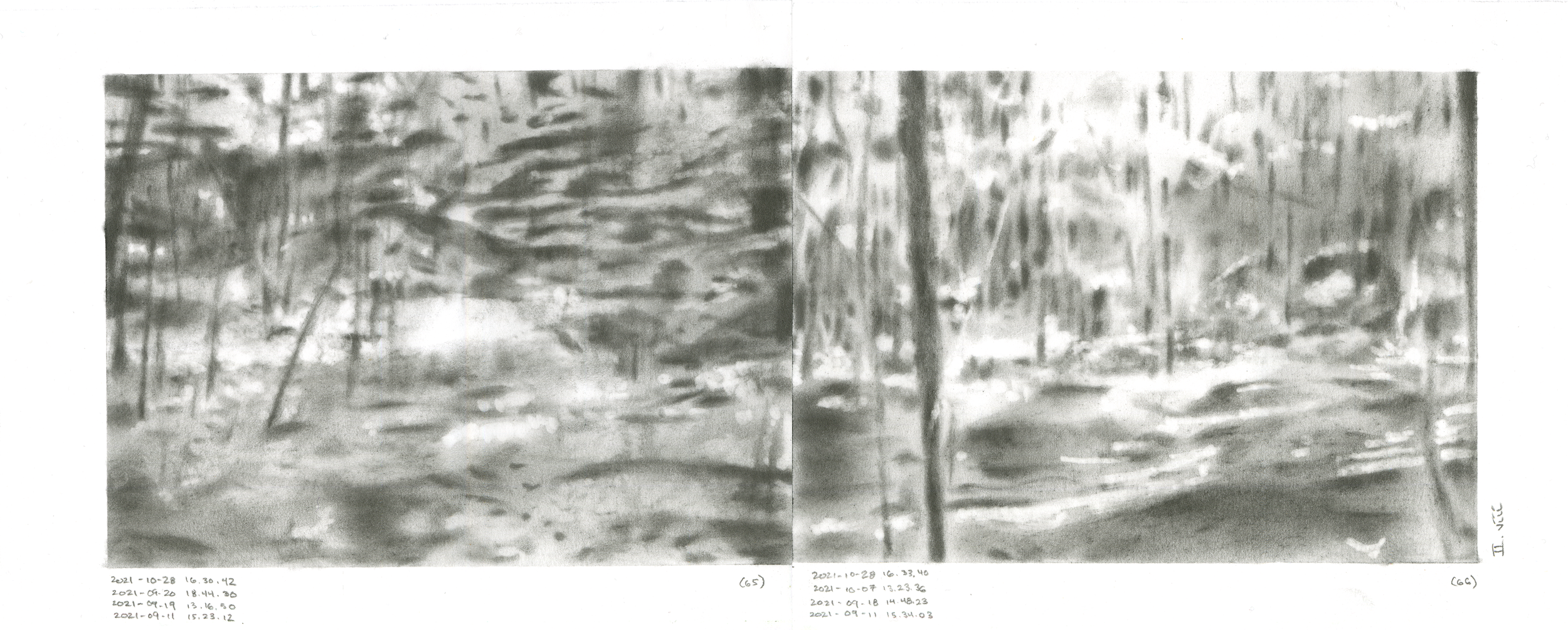 II.viii-viii (WP065-066)