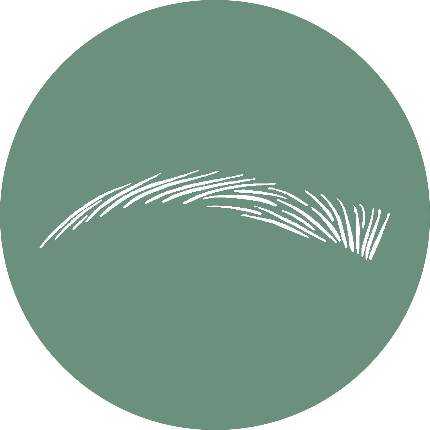microblade - color-circle-01.png