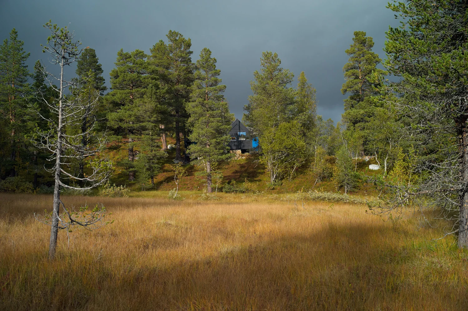 L1006305.jpg