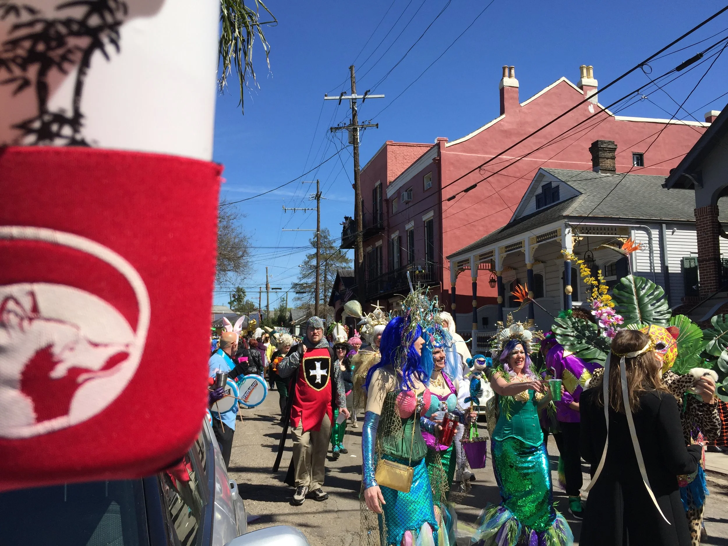 Mardi Gras, New Orleans, March 5, 2019