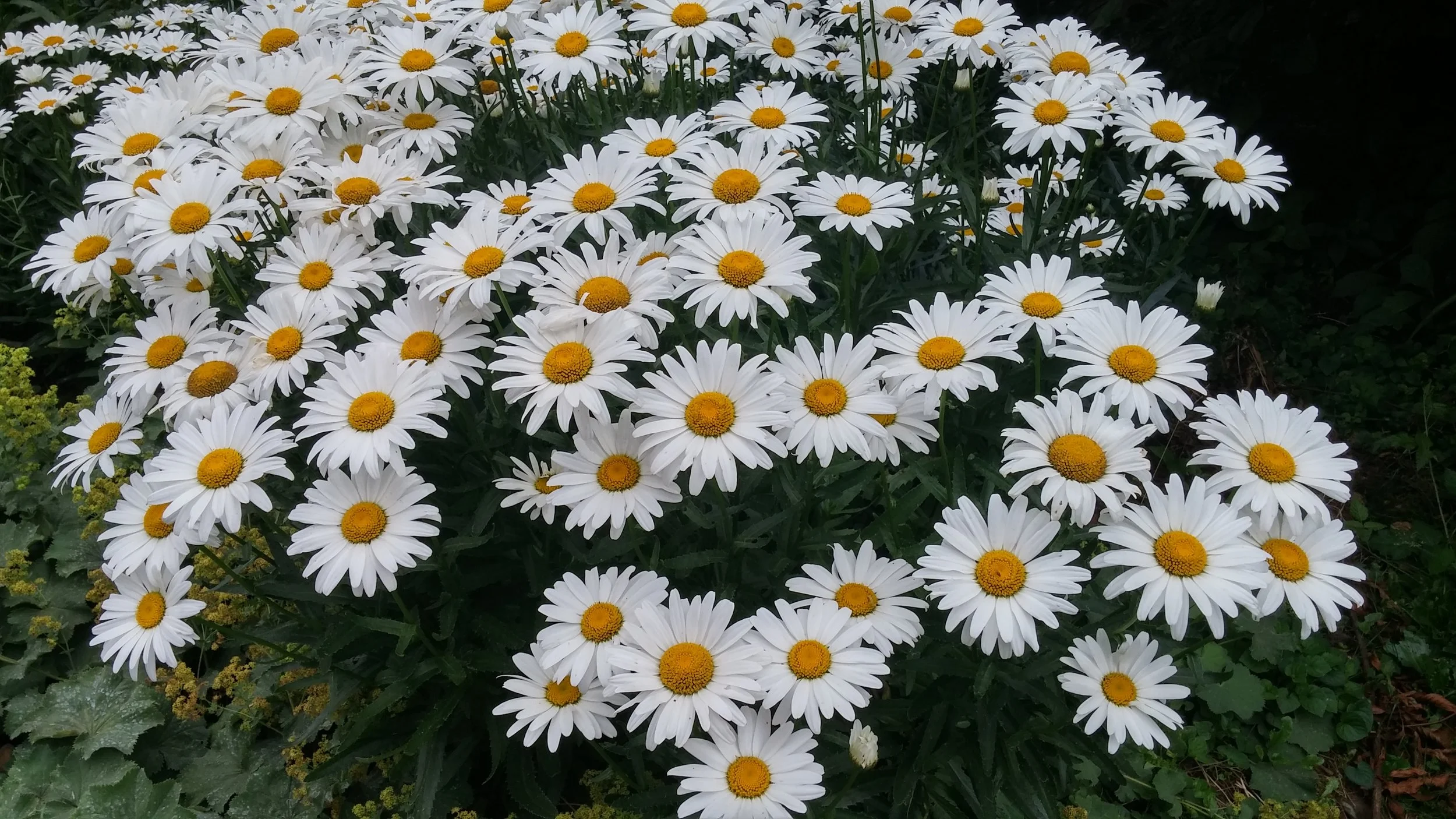 20160717_064837_HDR.jpg
