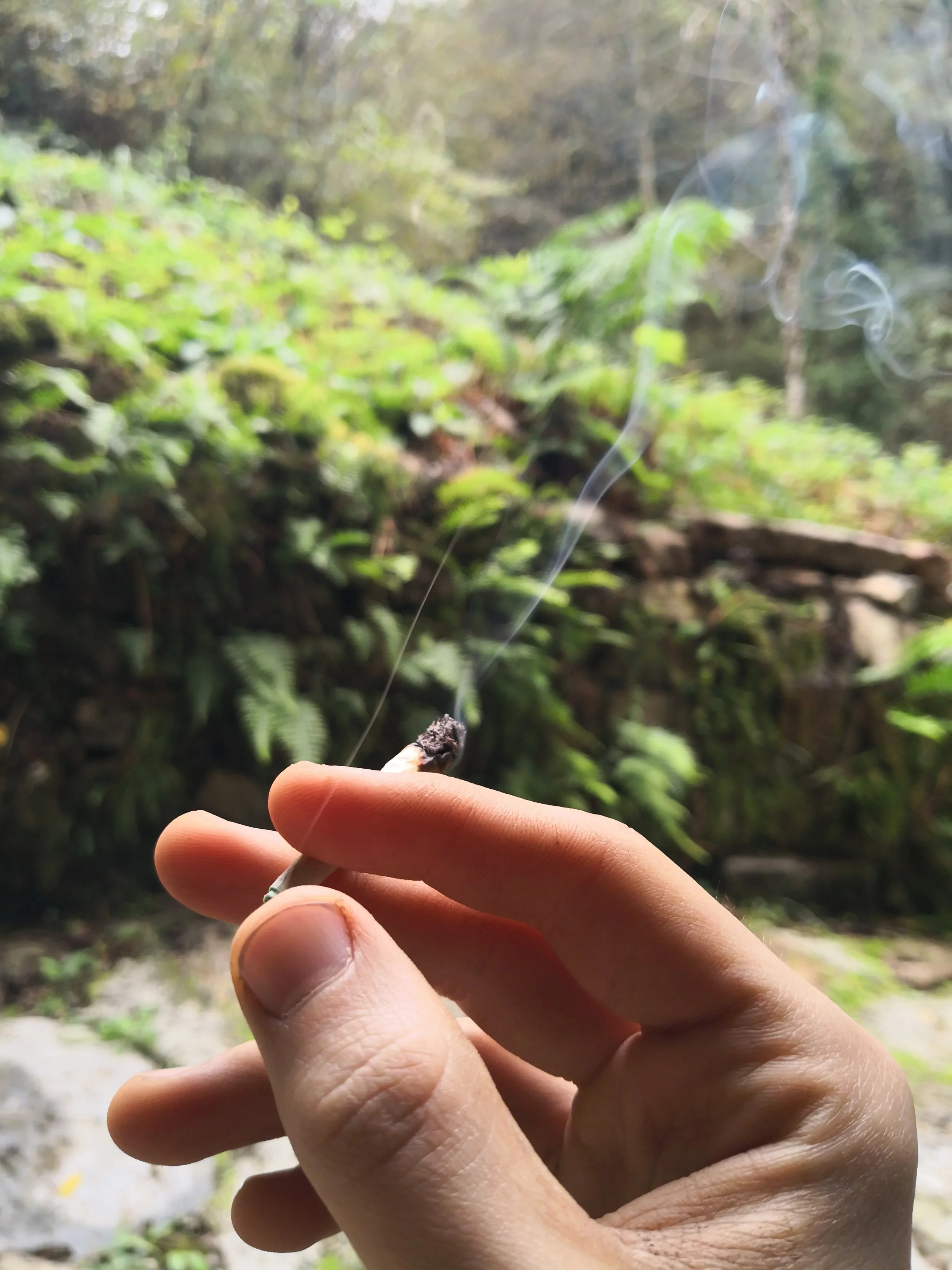 IMG_20181017_102042.jpg