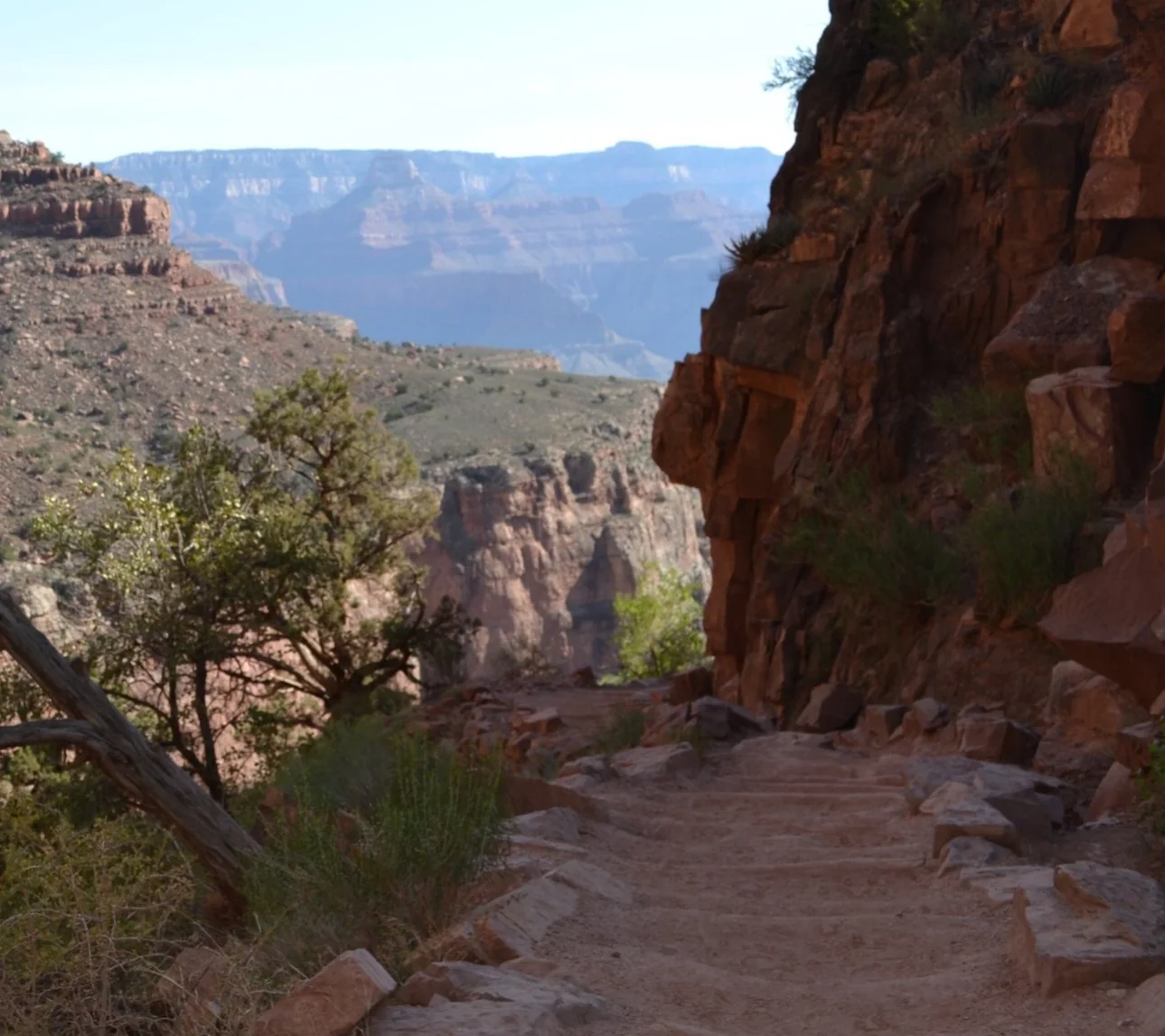 trail path.jpg
