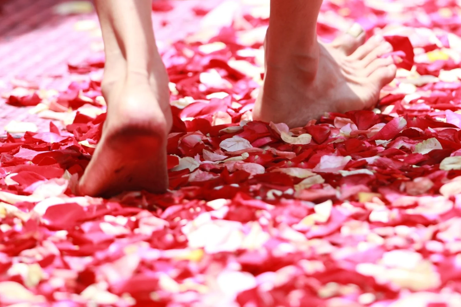 barefoot-ceremony-colors-50681.jpg