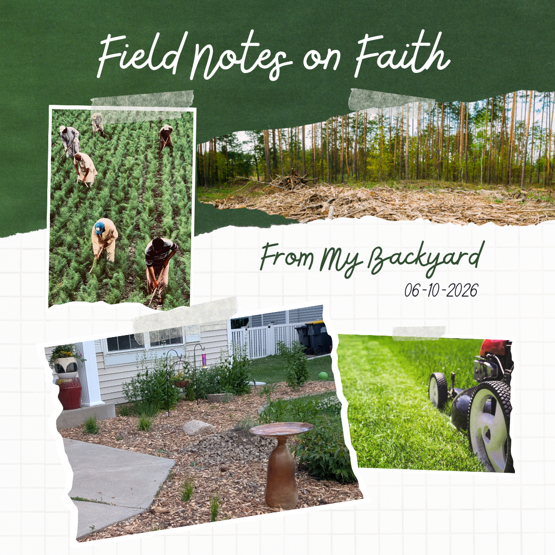 June 17, 2026—Holy Aches