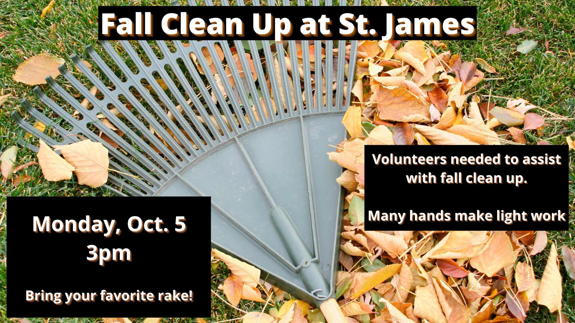 Fall Clean Up.png