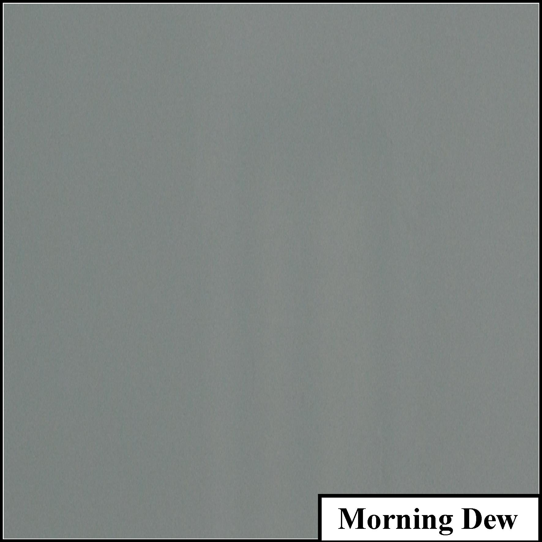 Morning Dew.jpg