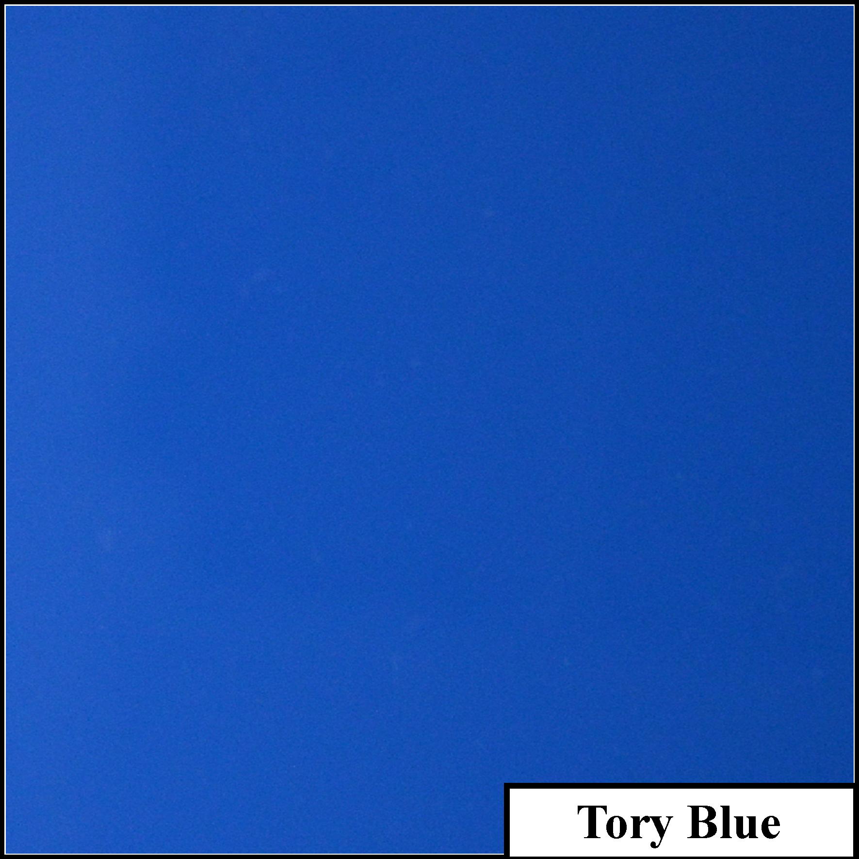 Tory Blue.jpg