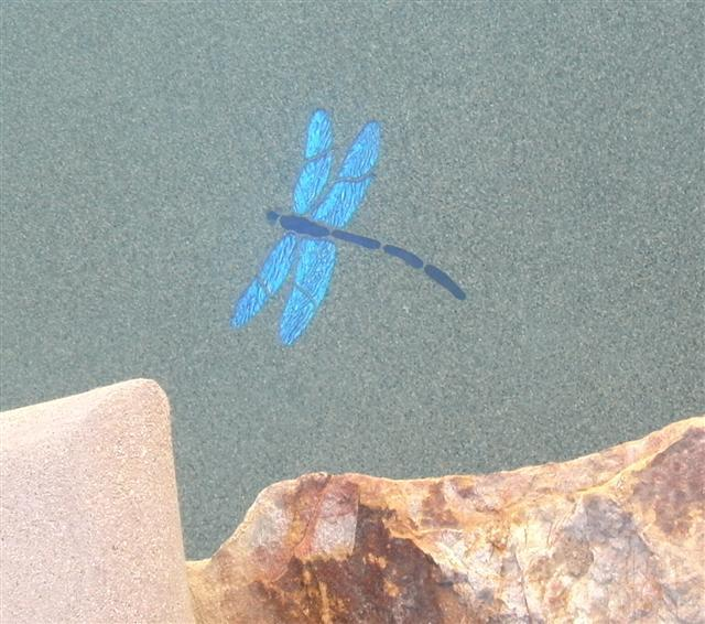 mosaic dragonfly installation 1s.png