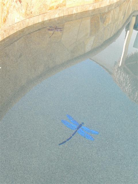 mosaic dragonflies after installation 21h.png