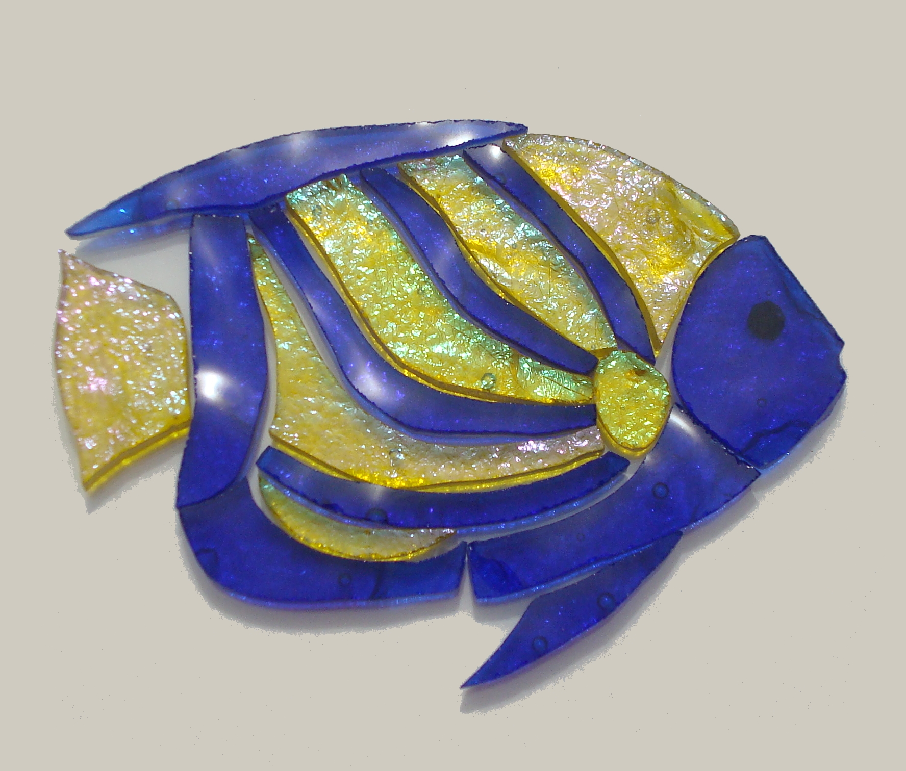 mosaic blue ring angelfish 060.jpg