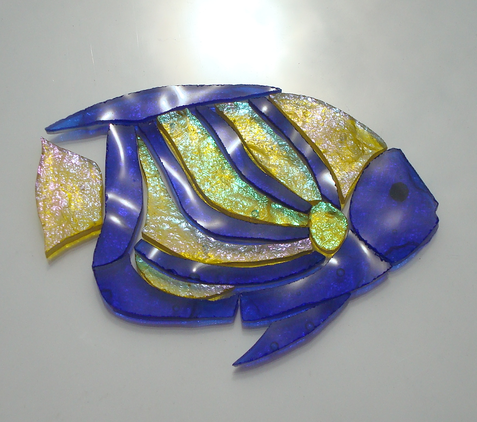 mosaic blue ring angelfish  061.jpg