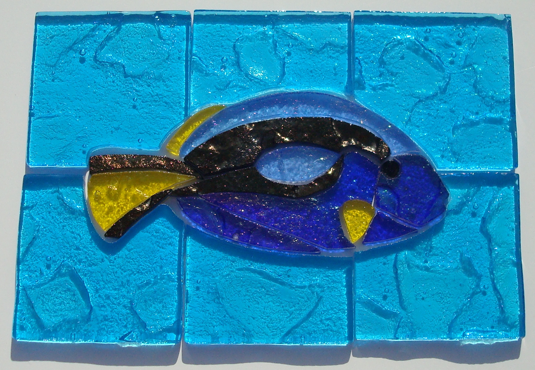 mosaic blue tang in surround 0512 047.jpg