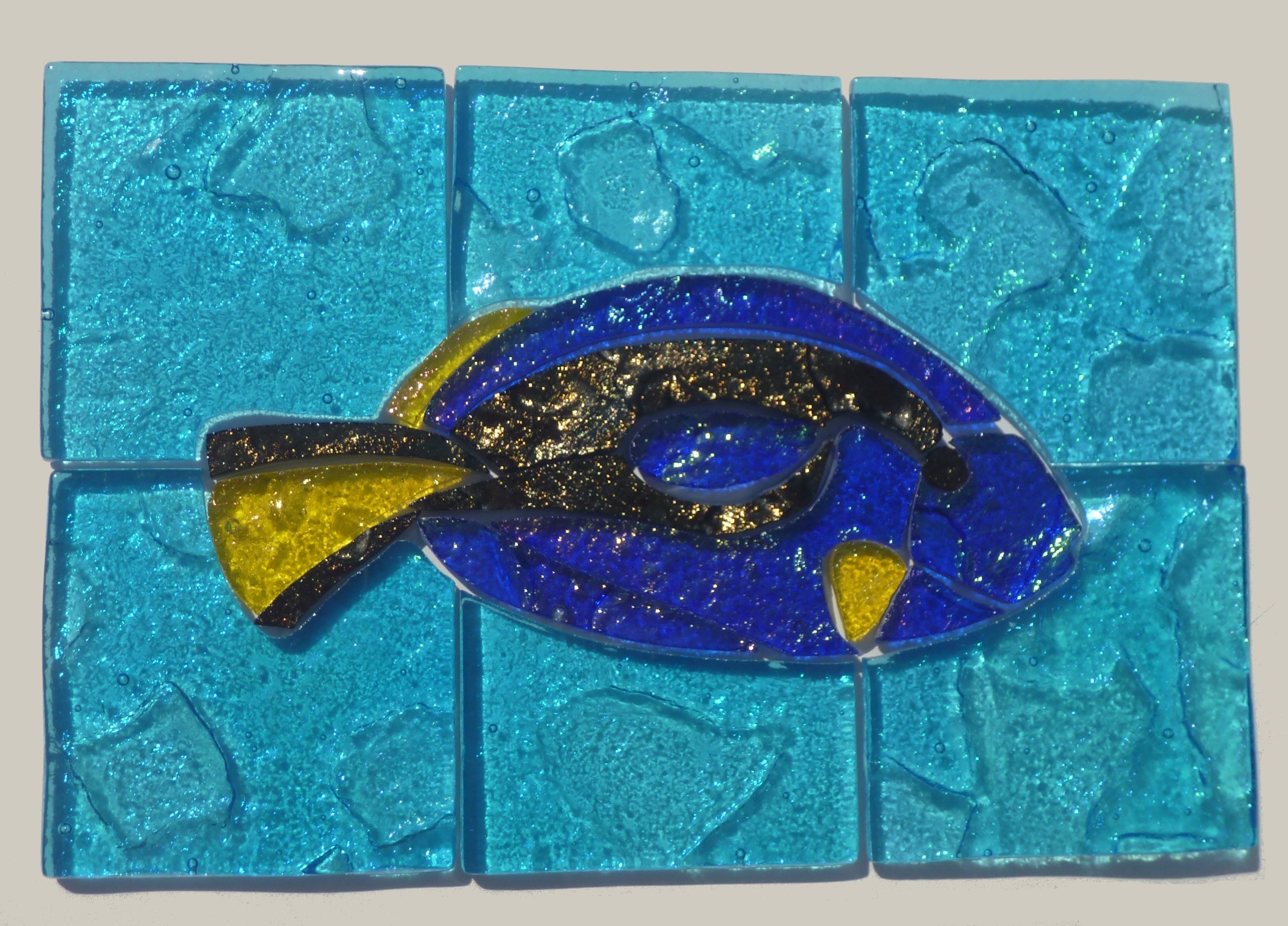 mosaic blue tang p1030203.jpg