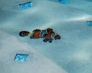 mosaic clownfish after installation 22o.png