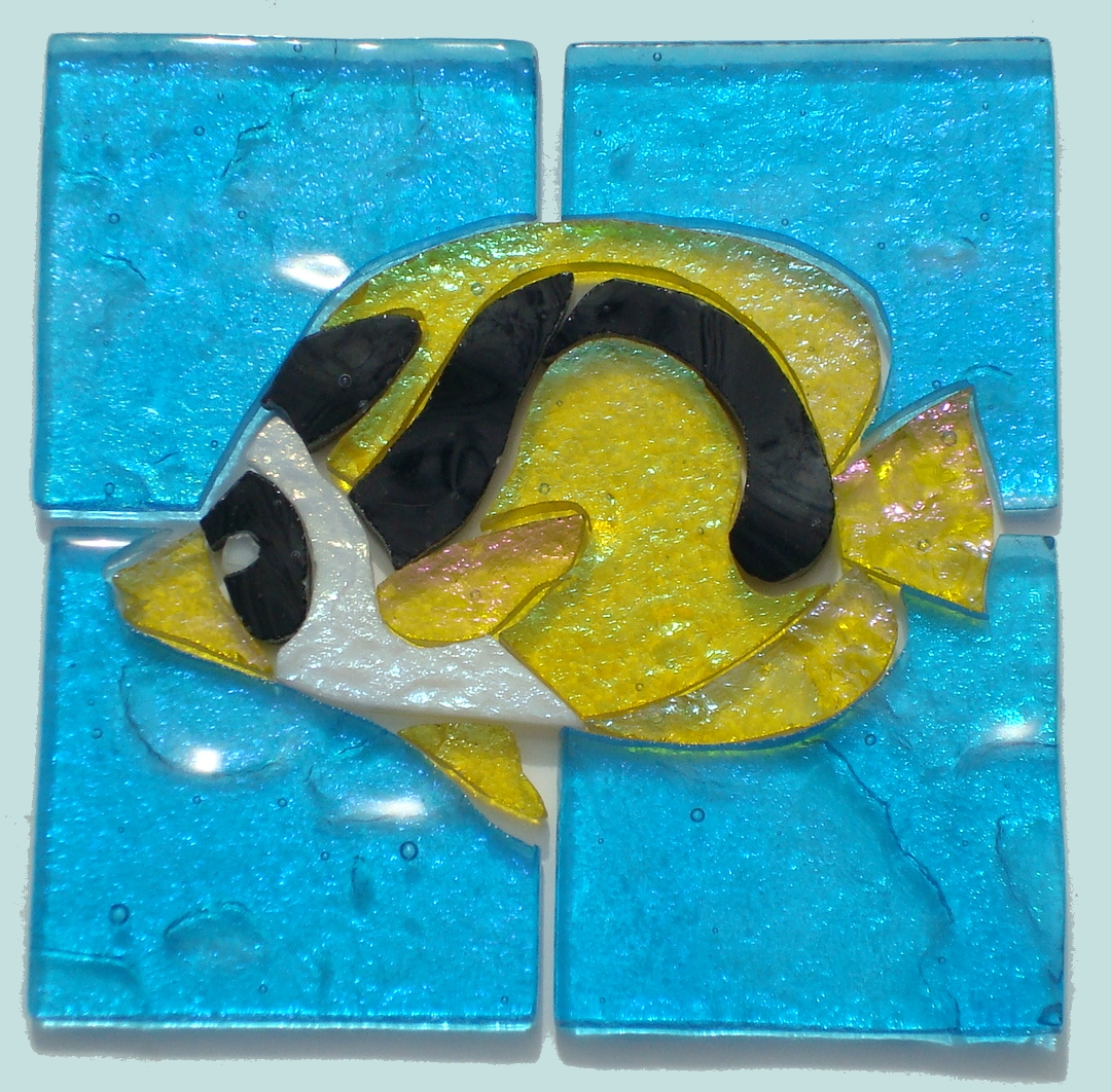 mosaic raccoon butterfly fish in surround 032.jpg