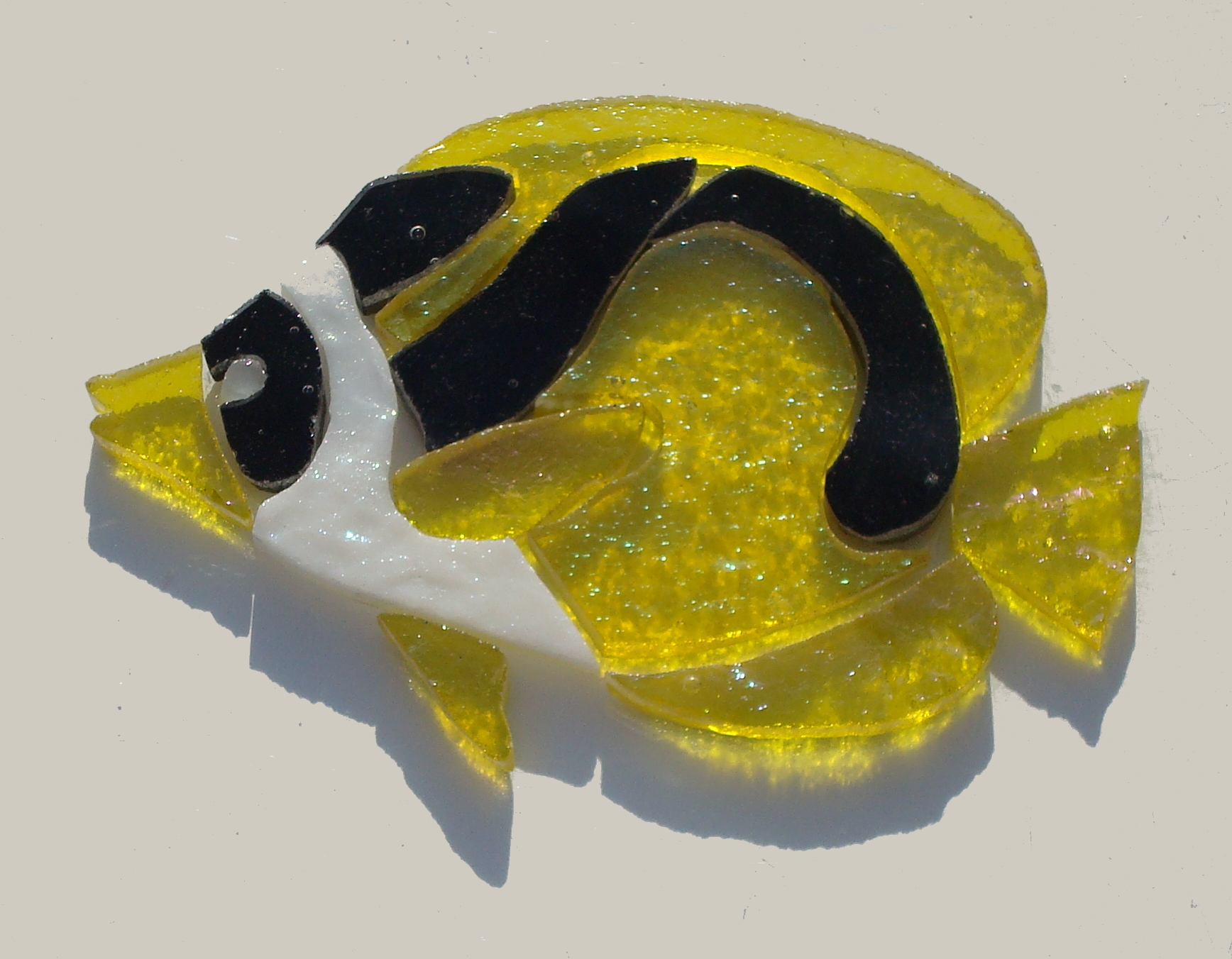 mosaic raccoon butterfly fish 0512 069.jpg