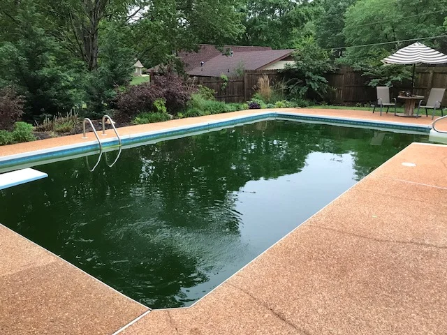 Stone Mountain- Before