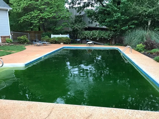Stone Mountain- Before