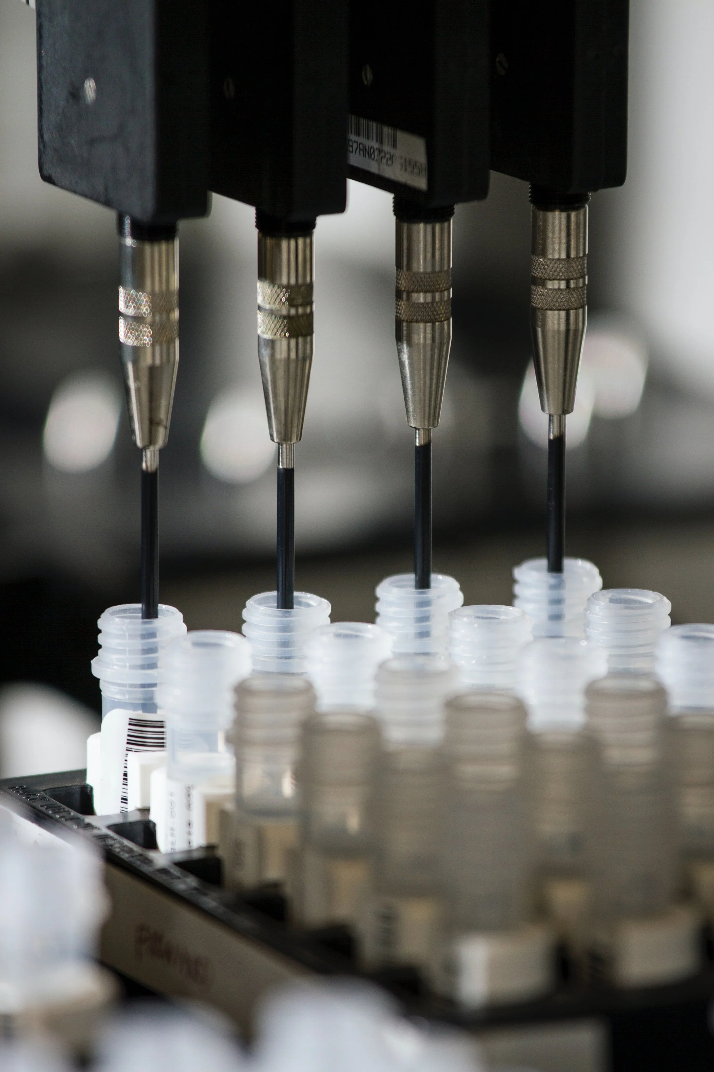 PCR compared to bacterial culture for detection of sheep respiratory pathogens