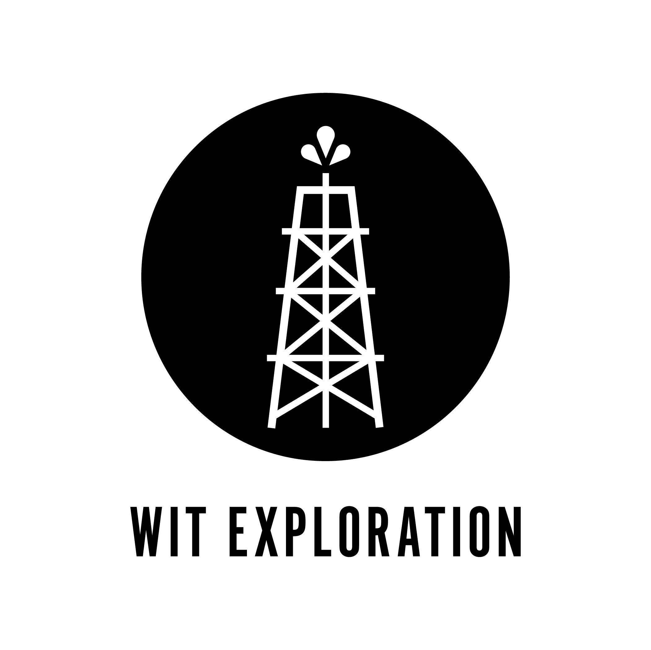 WIT Logo-02.jpg