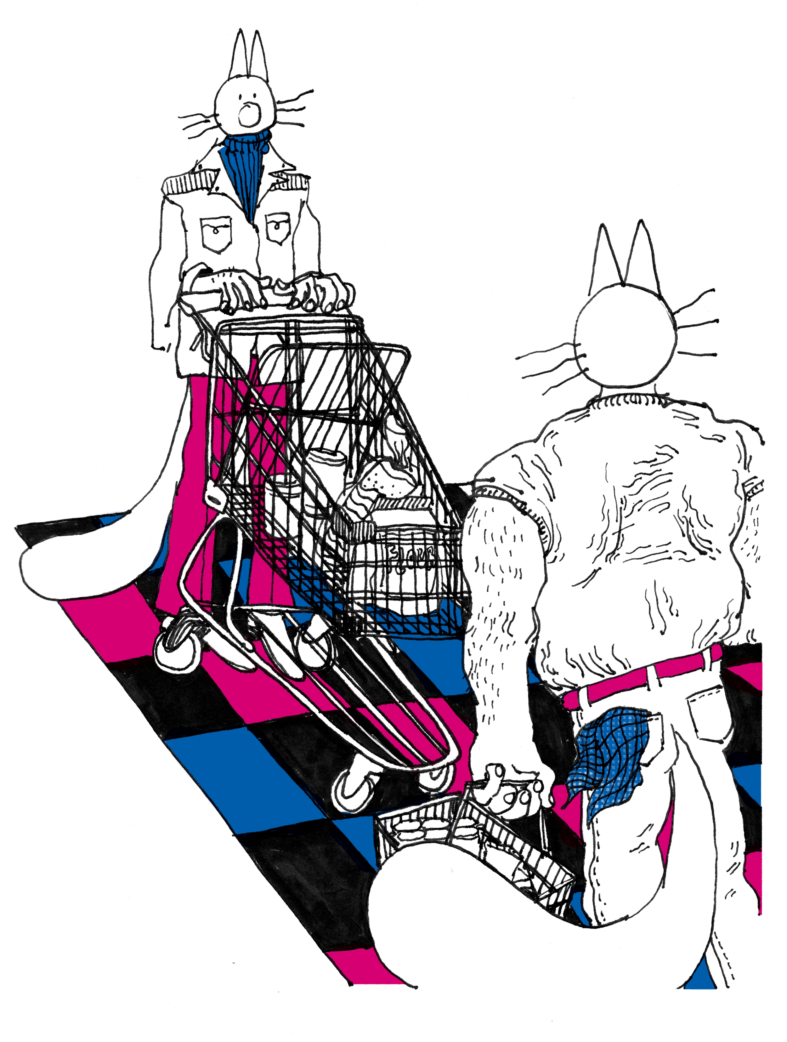 catgrocery.png