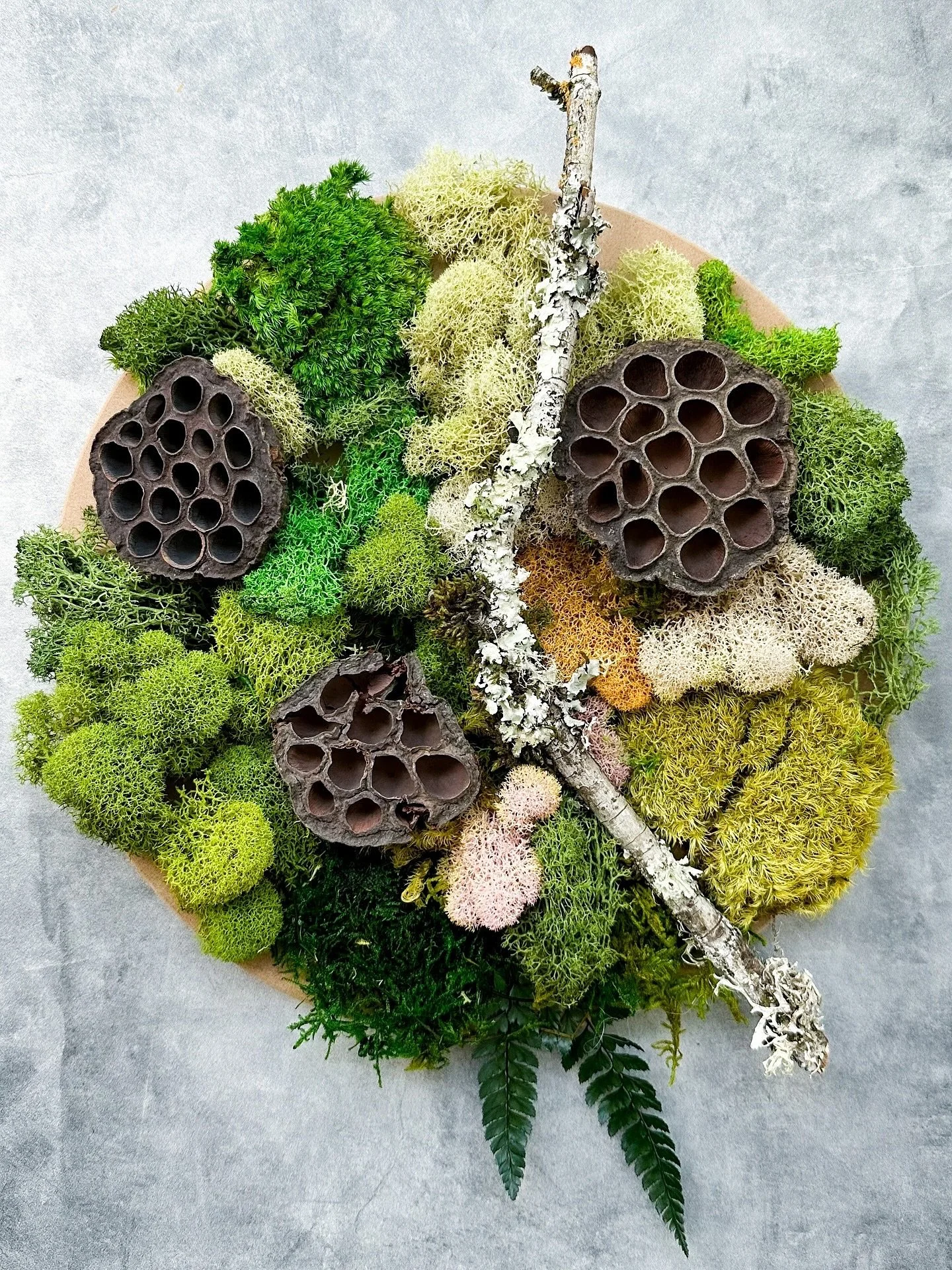 🌿 The Art of Nature & Mindfulness
Whether it’s a moss bar activation or a holiday wreath-making experience, there’s something deeply restorative about working with natural materials. Moss has been one of our most loved—and mos