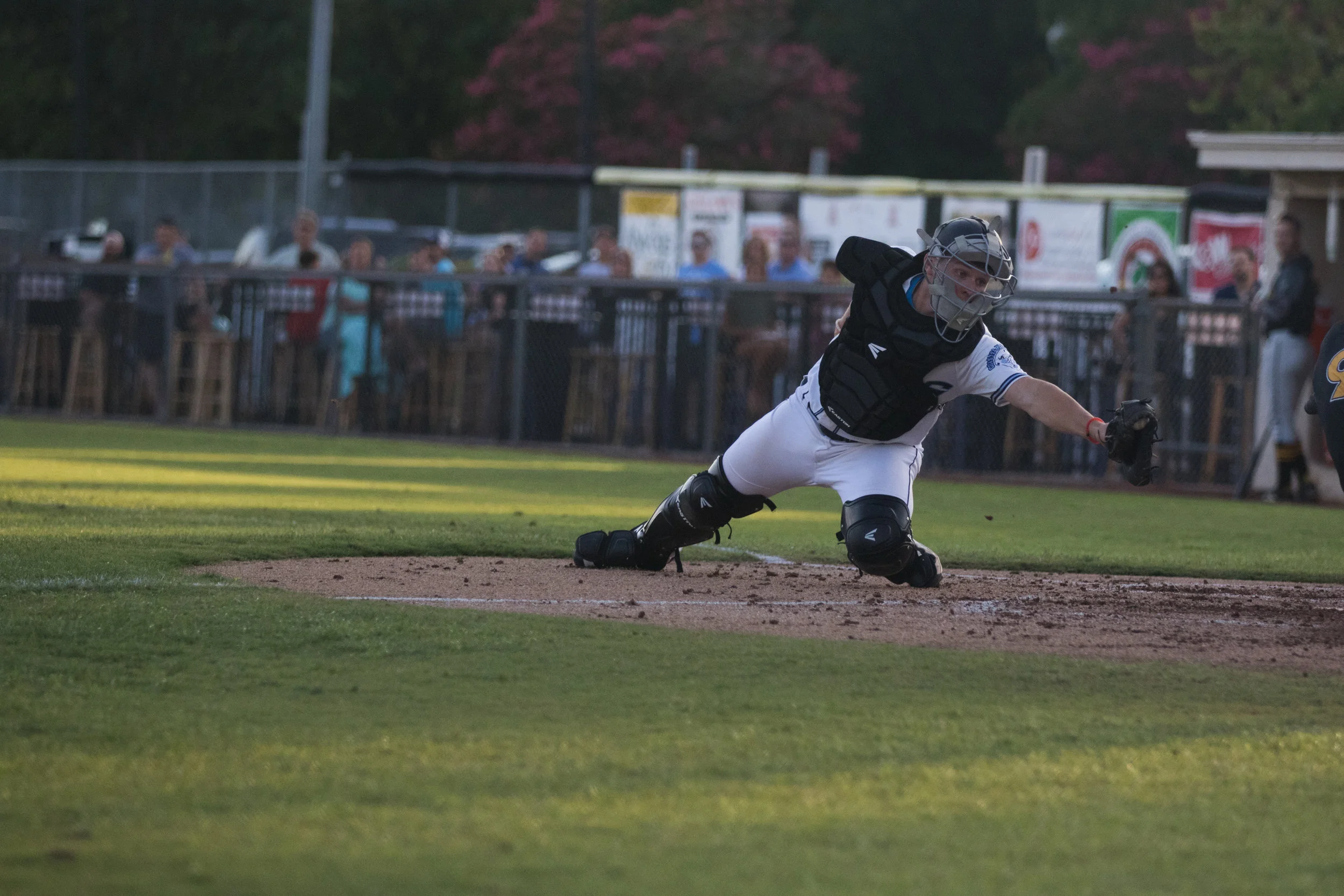 Wilmington Sharks CPL League