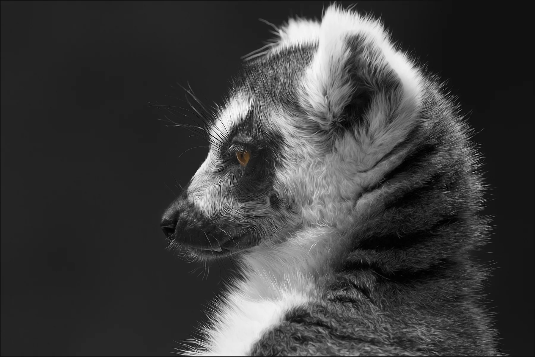 Furry Profile