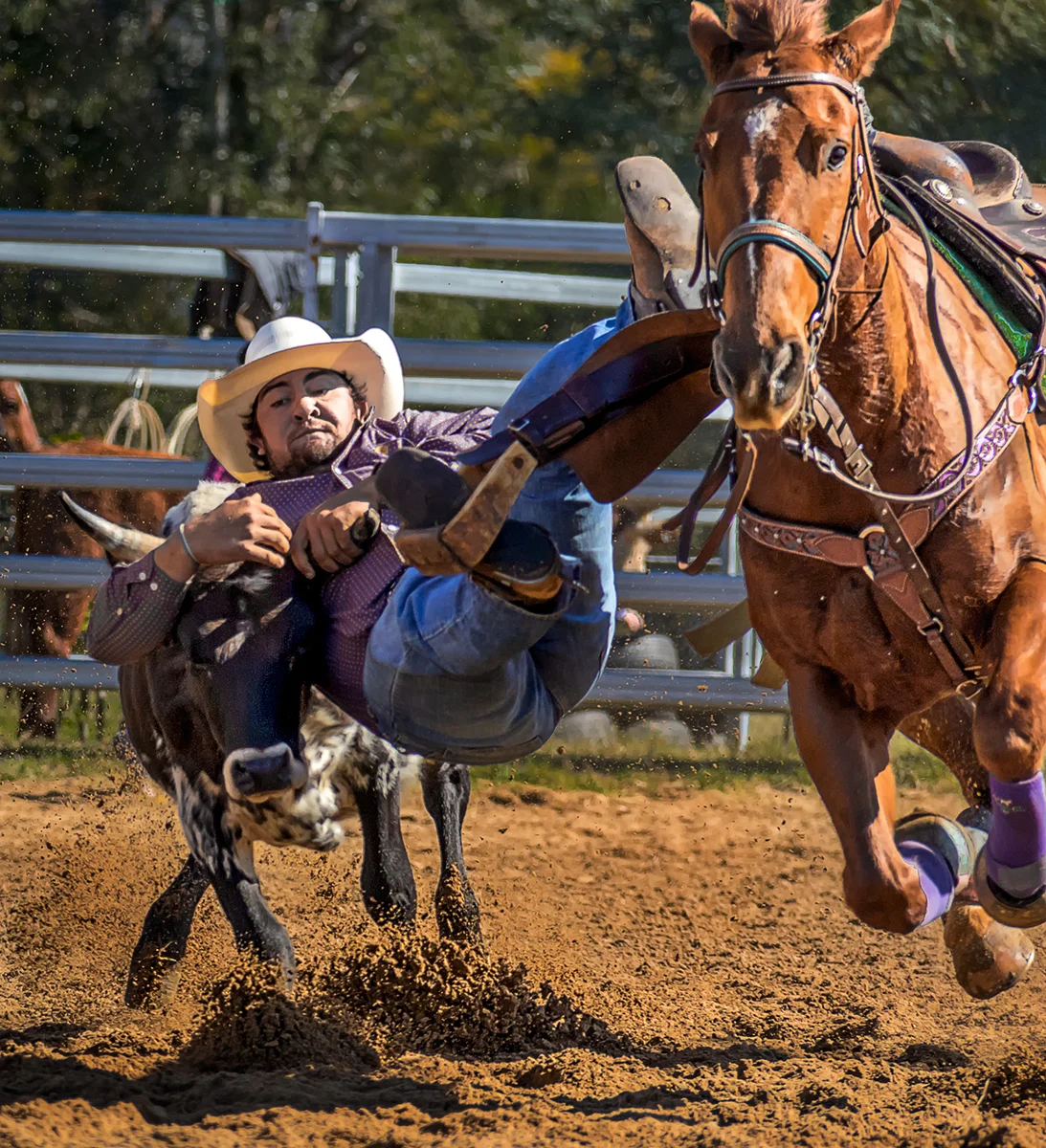 Calf Tackle